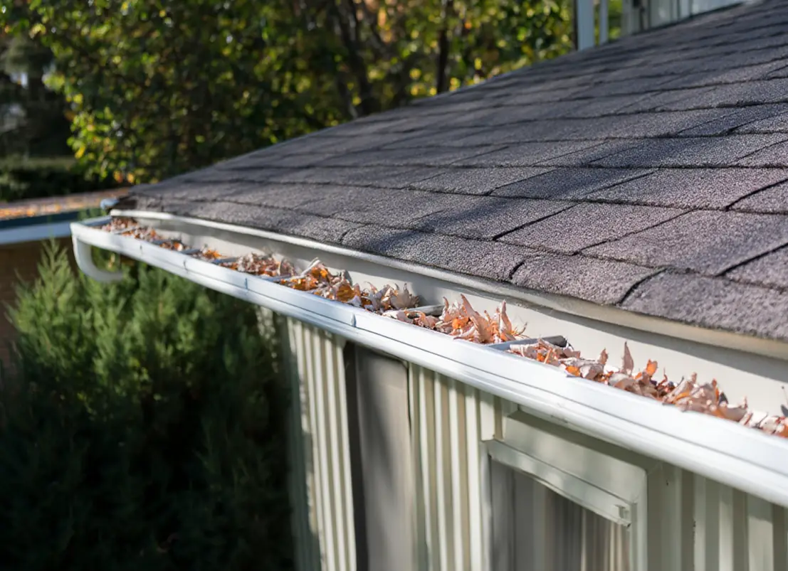 Limpieza y mantenimiento de canalones en vivienda